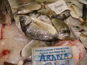 2015 06 06 et 07  ALMERIA SANTA CRUZ (20)